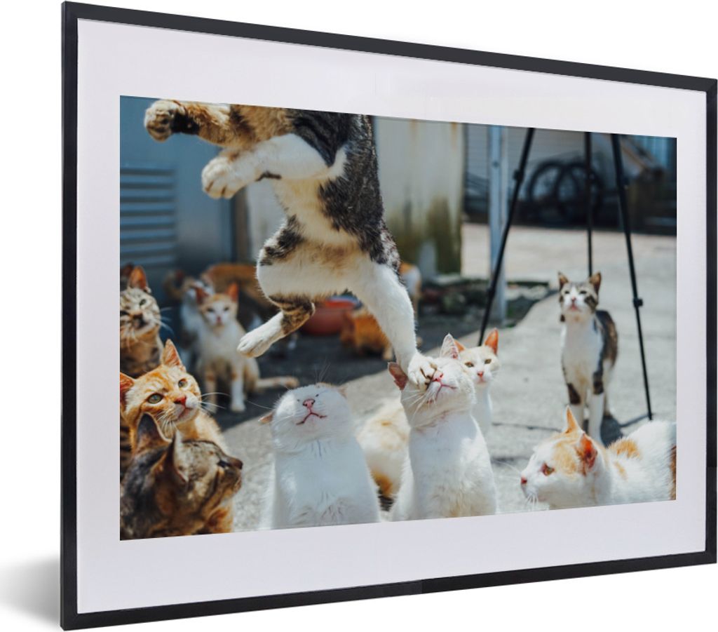 MuchoWow MuchoWow Gerahmtes Poster Komische Katze, die über andere Katzen springt 40x30 cm - Poster mit zchwarzem Bilderrahmen - Bilderrahmen ...