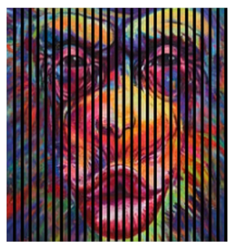 Akustikpaneele mit Digitaldruck Monkey01 19 x 1133 x 1195 mm Kunst Gemälde Affe MDF PET-Fasern Wandpaneele Bunt 2 Einzelplatten