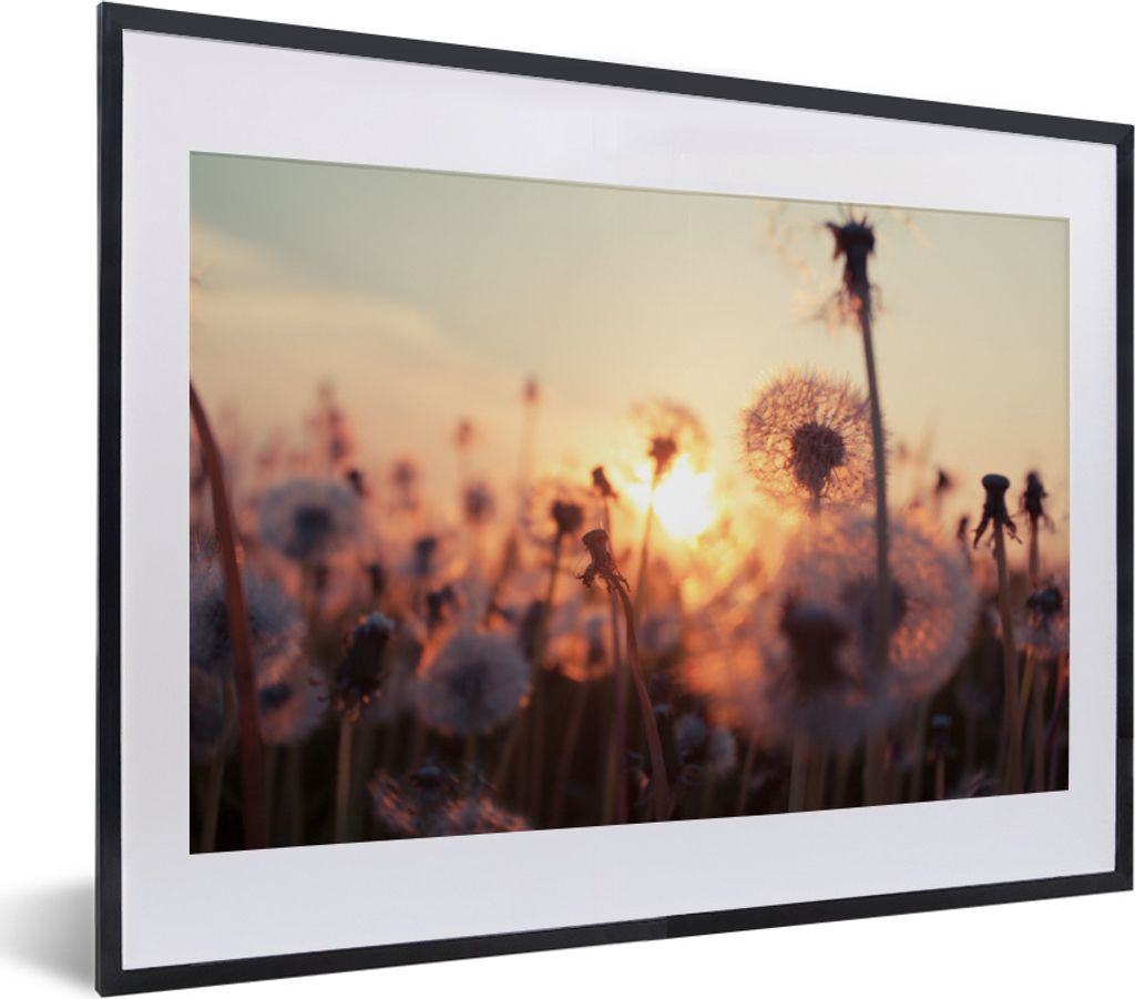 MuchoWow MuchoWow Gerahmtes Poster Löwenzahn - Sonnenuntergang - Frühling 40x30 cm - Poster mit zchwarzem Bilderrahmen - Bilderrahmen - Poste...