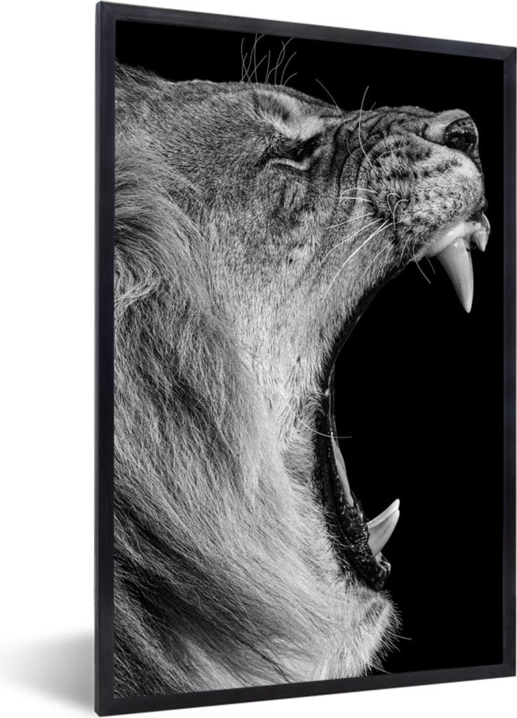 MuchoWow Gerahmtes Poster Tiere - Löwe - Schwarz - Weiß - Porträt 60x90 cm - Poster mit Schwarzem Bilderrahmen Wandposter Rahmen Foto Bilder -...