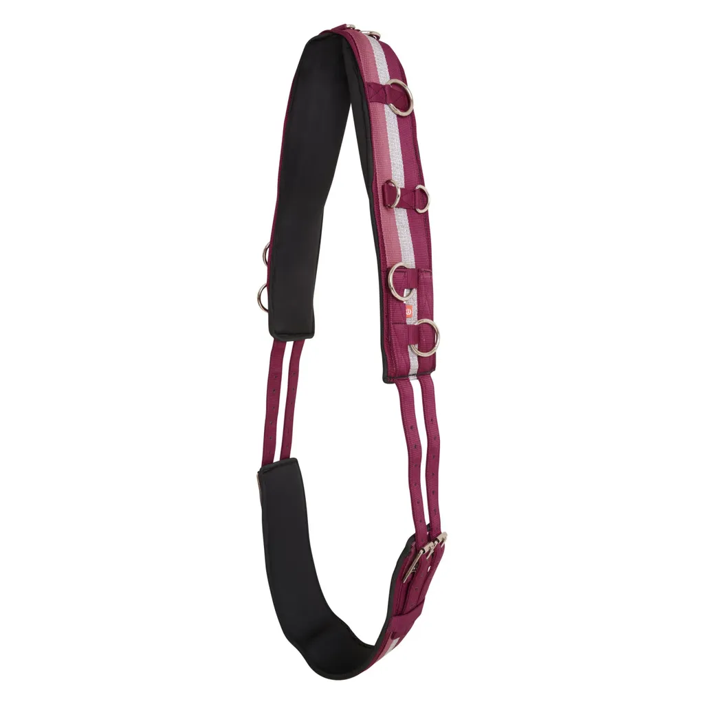 Imperial Riding Deluxe Longiergurt Full - Surfaix de Travail Noir Cuir