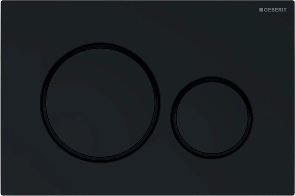 A black toilet flush plate with two circular buttons.