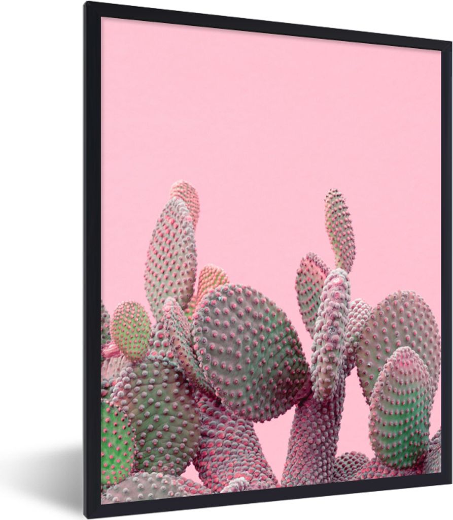 MuchoWow Gerahmtes Poster Kaktus - Pflanzen - Sommer 60x80 cm - Poster mit Schwarzem Bilderrahmen Wandposter Rahmen Foto Bilder - Premium - Wandd...