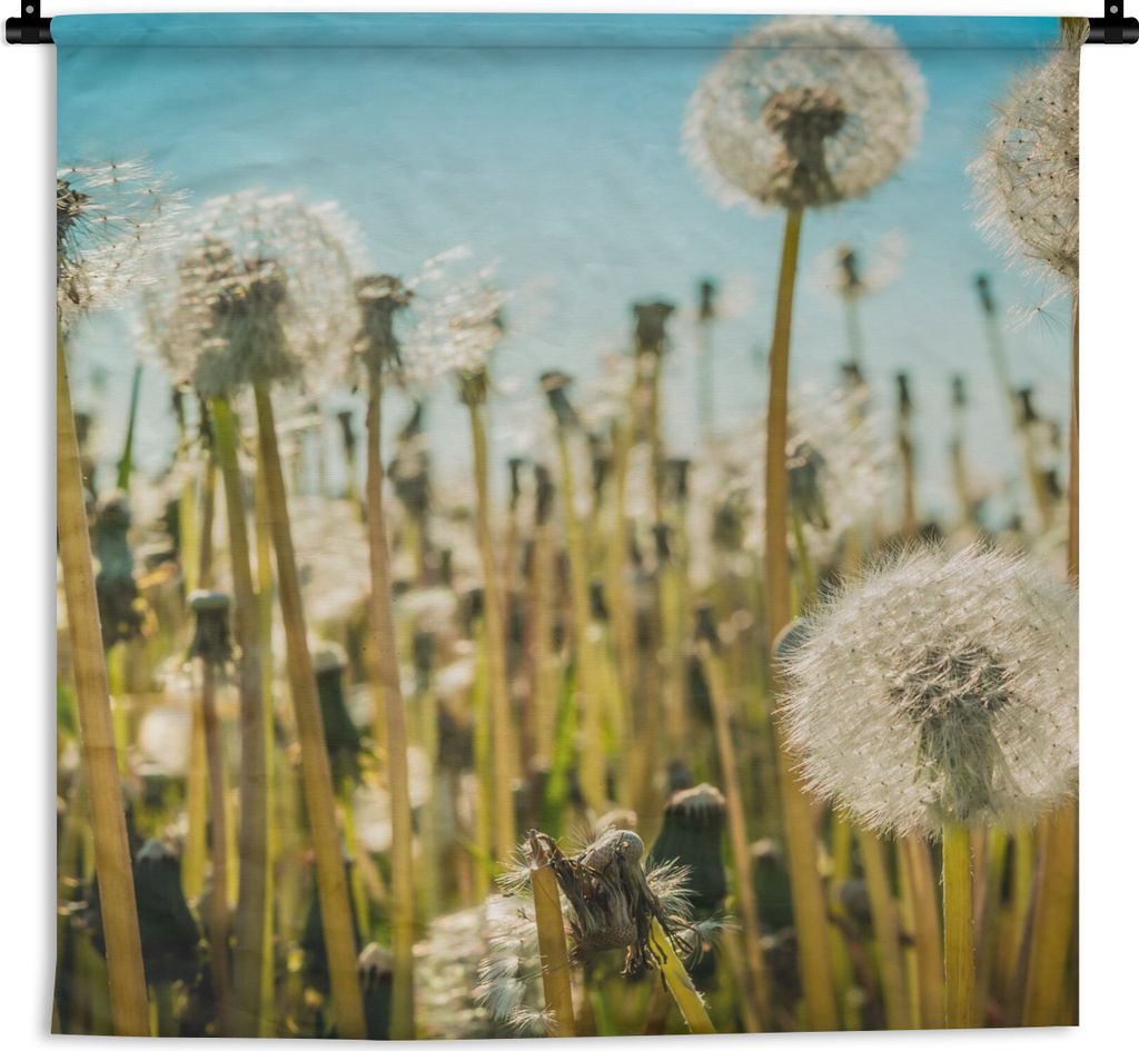 MuchoWow Wandteppich Wandbehang Blumen - Löwenzahn - Gras 90x90 cm Tapisserie Dekoration Wandtuch - Wandaufhänger