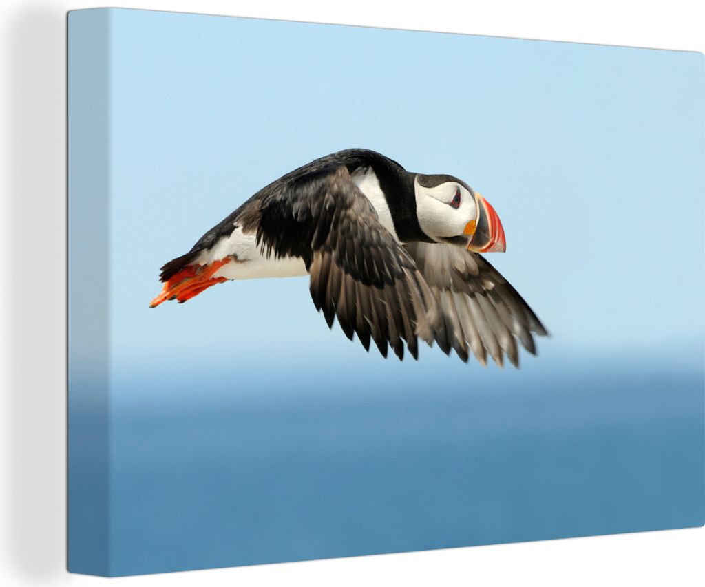 OneMillionCanvasses - Leinwandbilder - 140x90 cm, Ein Papageientaucher am Himmel mit dem Meer im Hintergrund, Wandbilder Kunstdruck Wanddekoratio...
