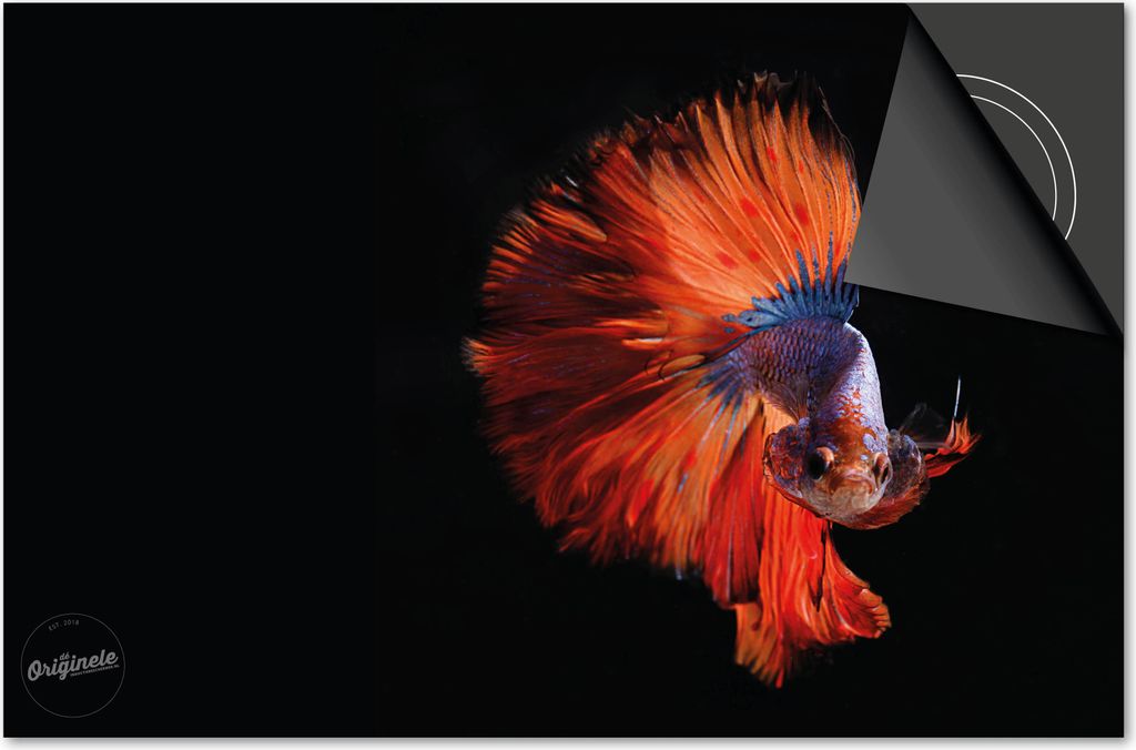 Induktionsschutz 78x52 - abdeckplatte Induktion matt- Dietrix Kochfeldschutz- Base - Under the Sea - Rode Fisch