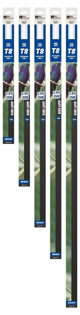 As Reptile Zone 1 Uvi 0.5/Bird T8 Lamp 2.4% UVB 18W/600MM Productafbeelding 