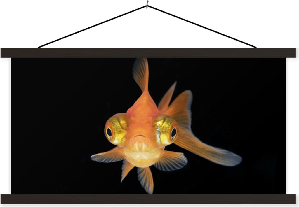 MuchoWow Textilposter Goldfisch - Meerestiere - Augen 60x30 cm mit schwarzem Rahmen - Textilien