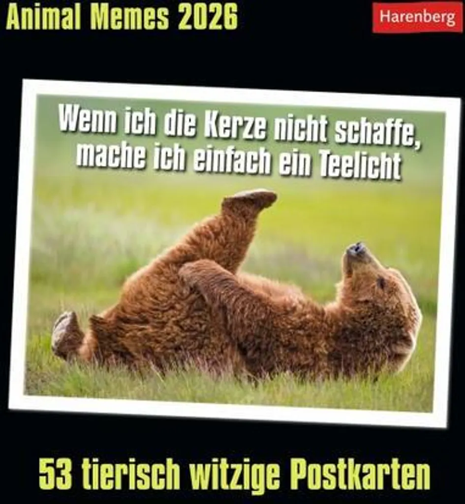 Calendrier 2026 Animal Memes : 53 Cartes pour ne plus jamais s'ennuyer