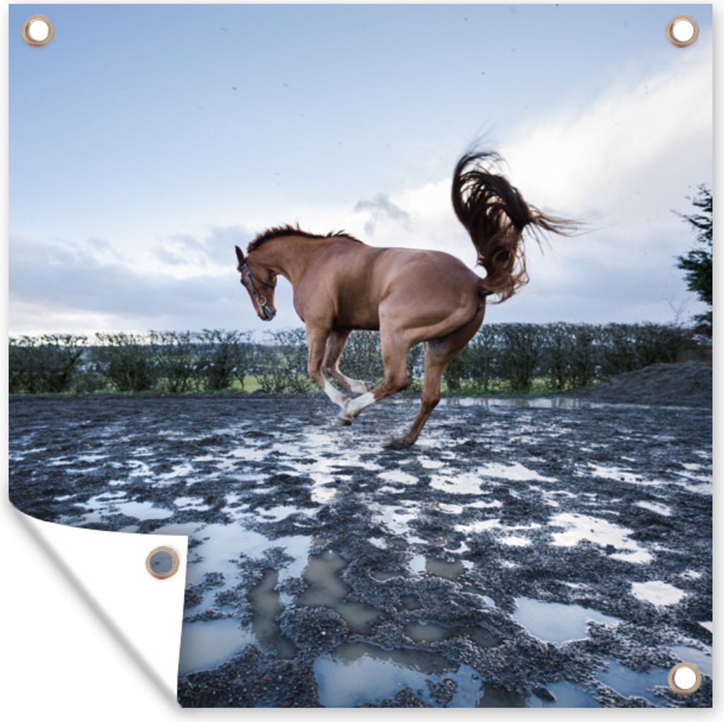 MuchoWow 100x100 cm Outdoor-Poster Gartendeko Sichtschutz Garten Poster für den Garten Ein bockendes Pferd in den Pfützen
