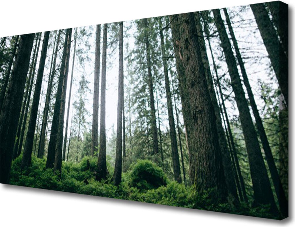 Tulup Leinwand-Bilder 100x50 Wandbild Canvas Kunstdruck Produktbild 