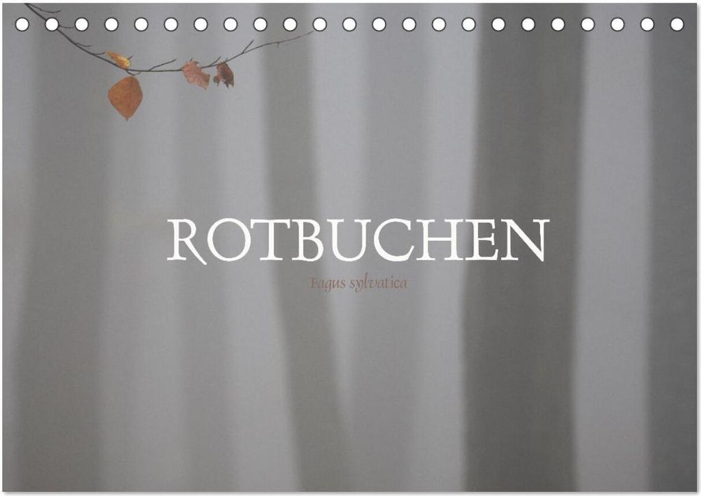Rotbuchen (Tischkalender 2026 DIN A5 quer), CALVENDO Monatskalender