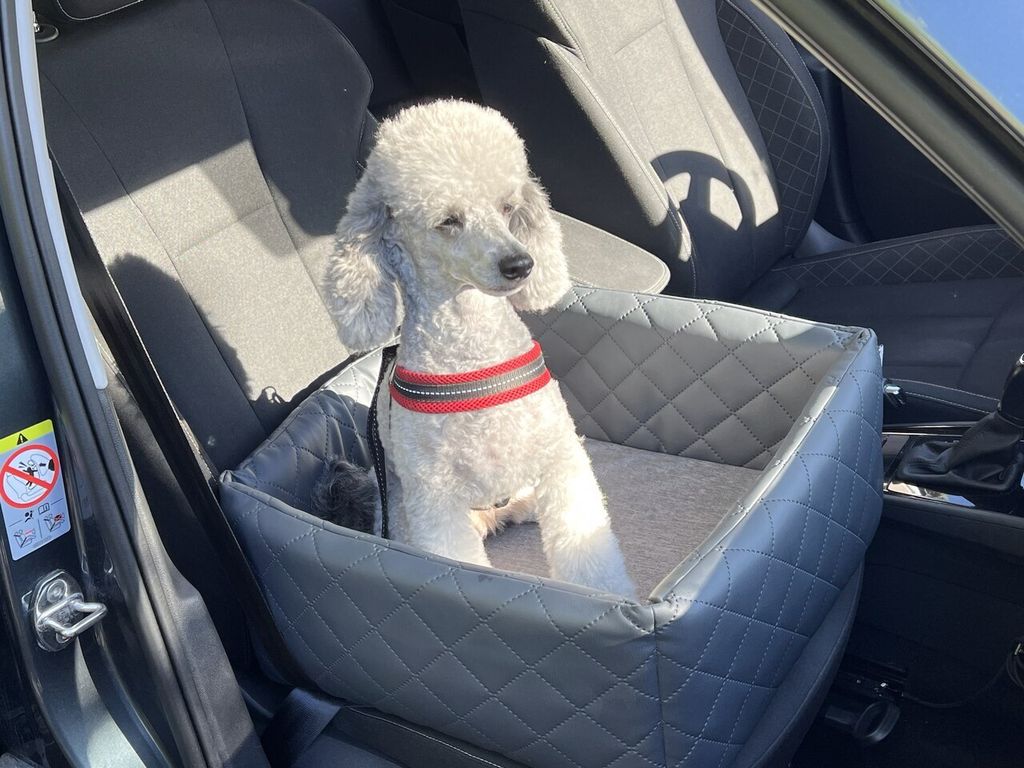 Autositz für Hunde DOTTY – sicherer Hundesitz, Haustier-Transporter, Reisesitz, tragbares Hundebett aus Kunstleder mit Sicherheitsgurten, wasser...