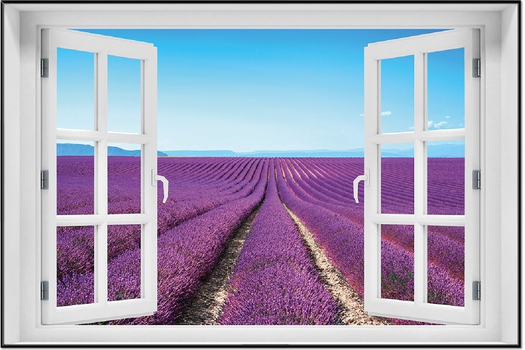 Wallario Wandbild mit Fenster-Illusion: Lavendelfeld unter blauem Himmel, Größe: 61 x 91,5 cm, Poster mit schwarzem Aluminiumrahmen