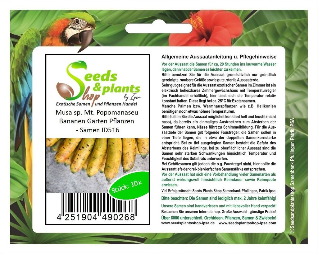 10x Musa sp. Mt. Popomanaseu Bananen Garten Pflanzen - Samen ID516