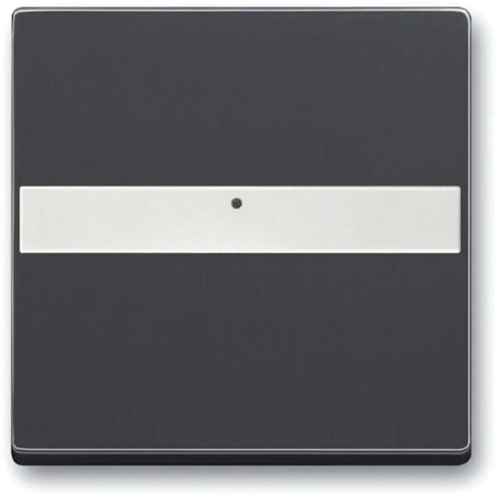 Bascule 1764 NLI-885 noir mat robuste avec zone d'identification