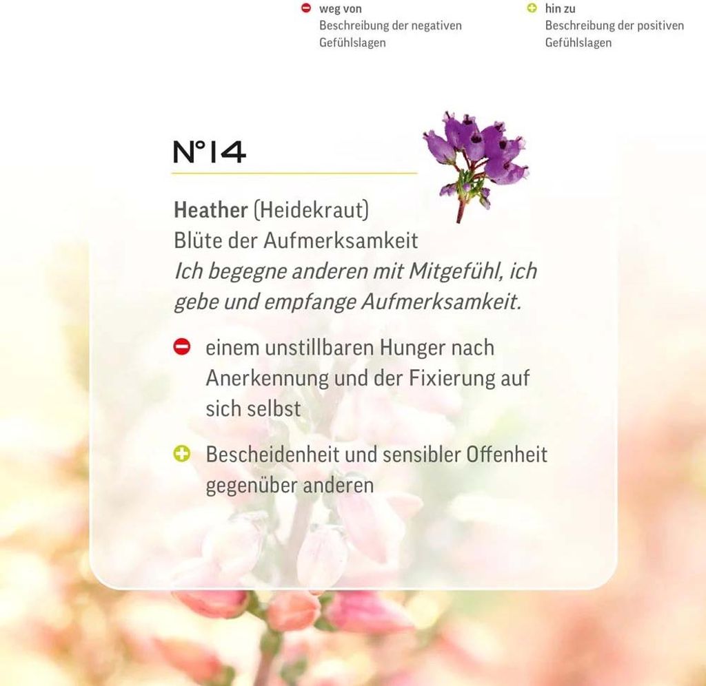 Bachblüten No.14 Heather 20 ml
