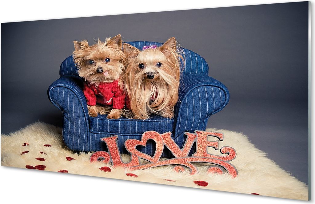 Glasbilder 100x50 Wandkunst Yorkie