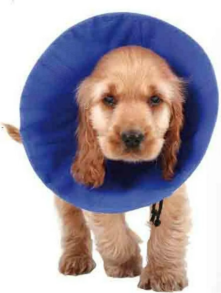 Collare per cani KVP EZ Soft Blue (35-60 cm)