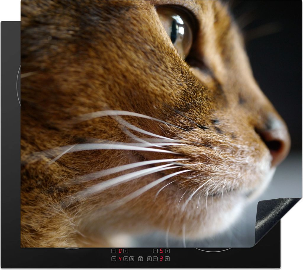 KitchenYeah Herdabdeckplatte Katze - Tiere - Abessinier - Porträt , 59x52cm, Küche Deko, Glaskeramikkochfeld Herdabdeckung, Abdeckplatte fùr K...