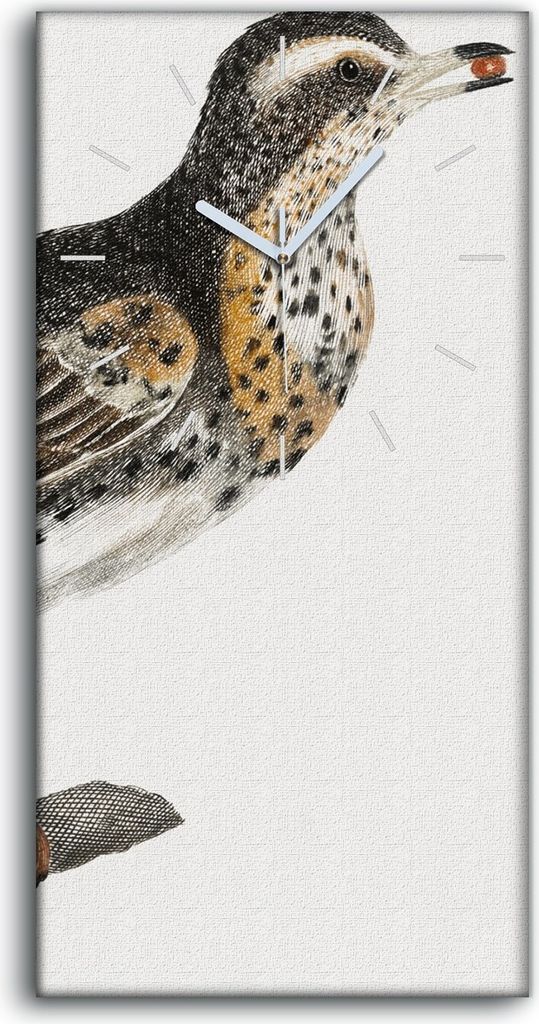 Wandbild Leinwand Bilder Wanduhr 30x60 Zeichnung Tier Vogel Zweig Kunst - weiße Hände
