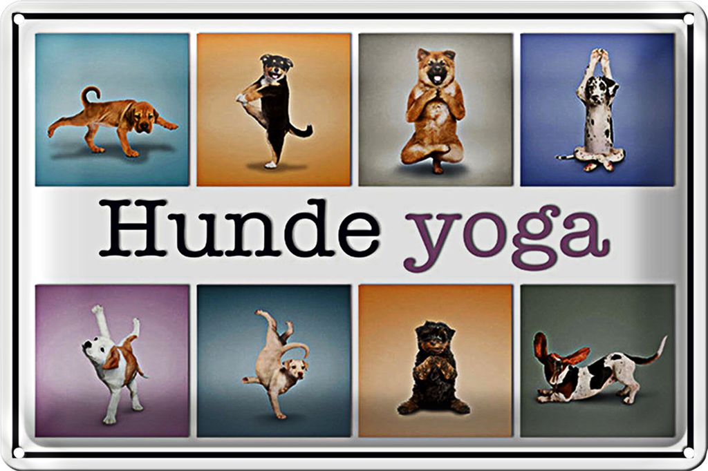 Blechschild 40x30cm Hunde Yoga bunte Dekoration