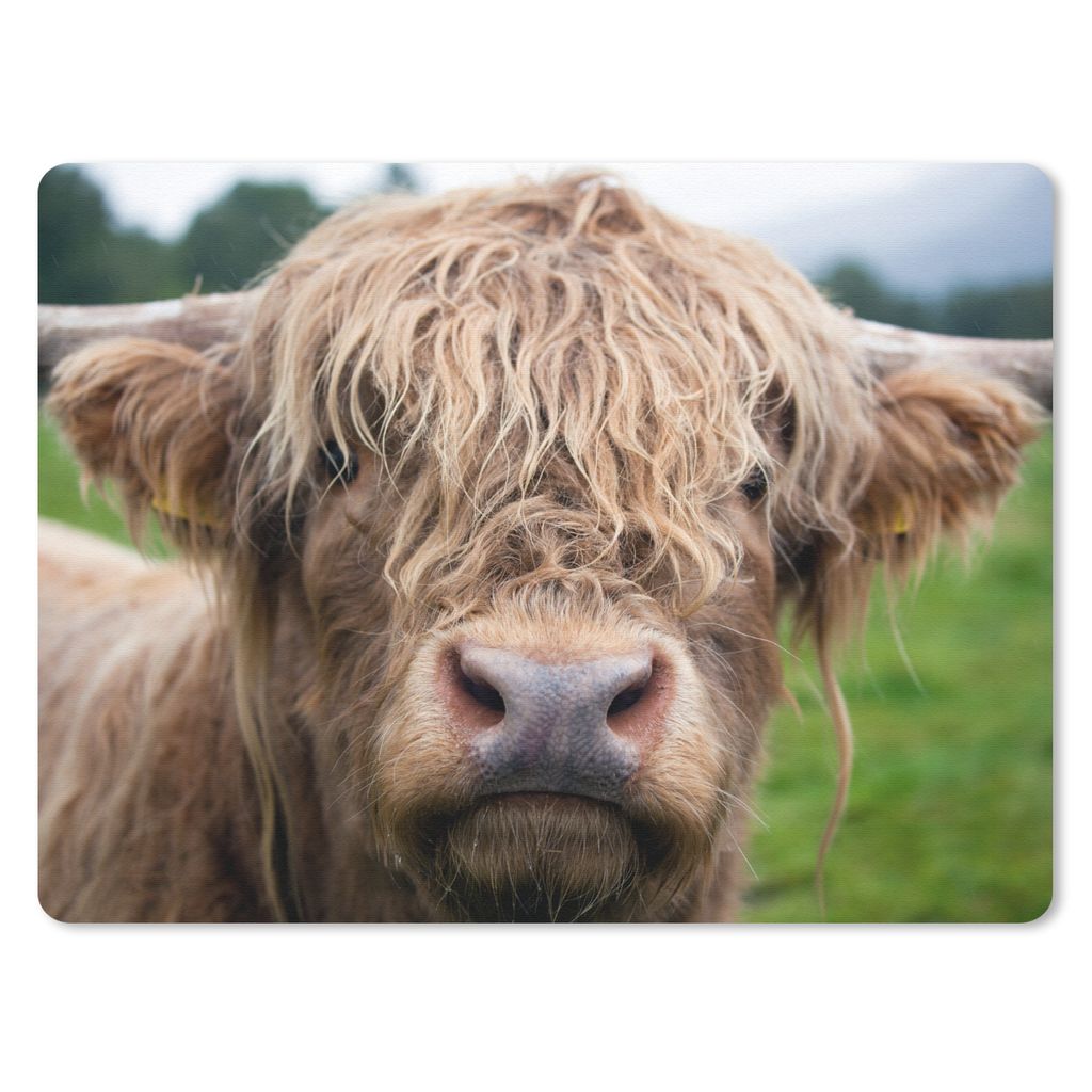 MuchoWow Mauspad Mousepad Schottische Highlander - Gras - Wald 23x19 cm - Mousepads - Maus Mat - Pad - Mausunterlage - Schreibtischunterlage - Ma...