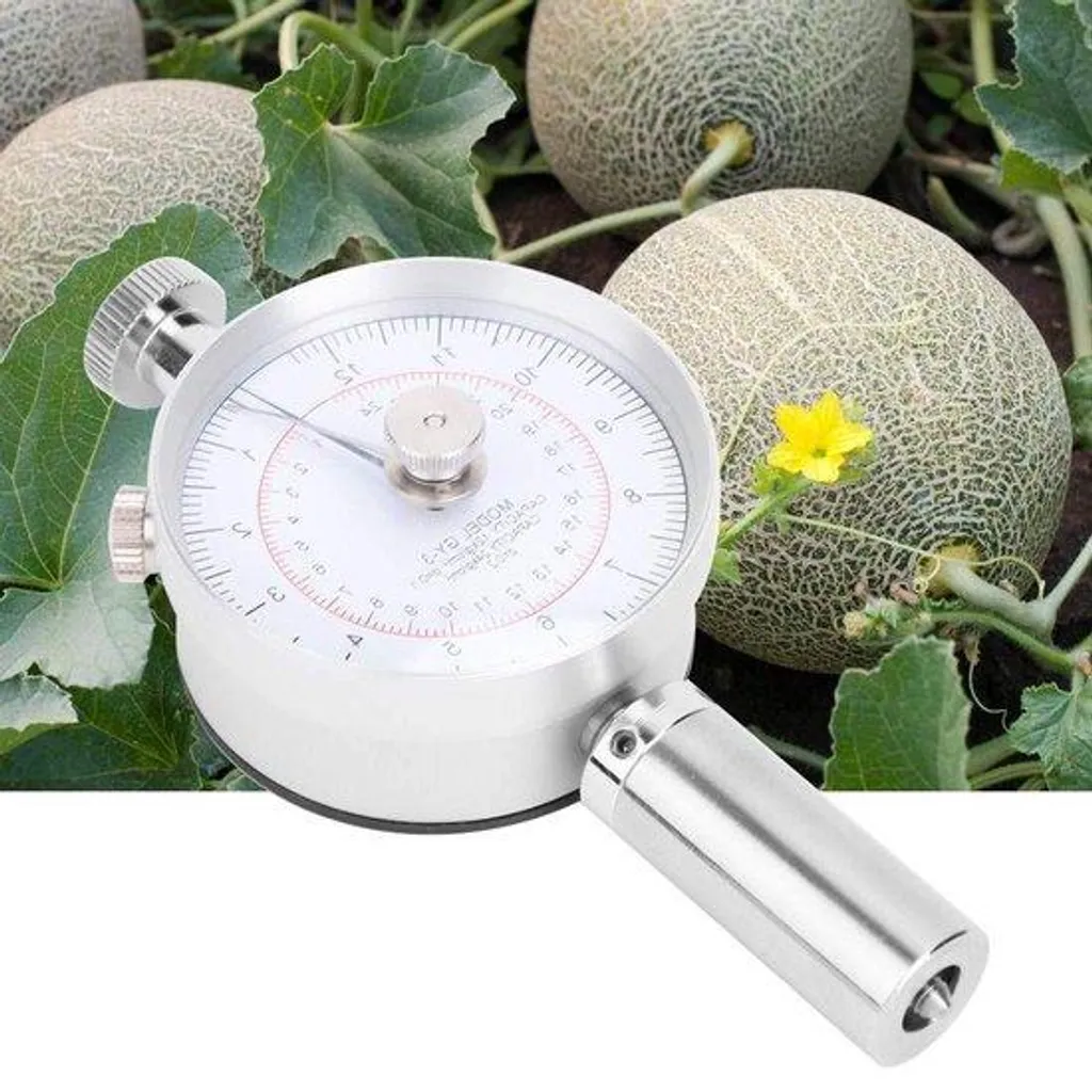 Testeur de fermeté des fruits GY-03 avec duromètre et double sonde