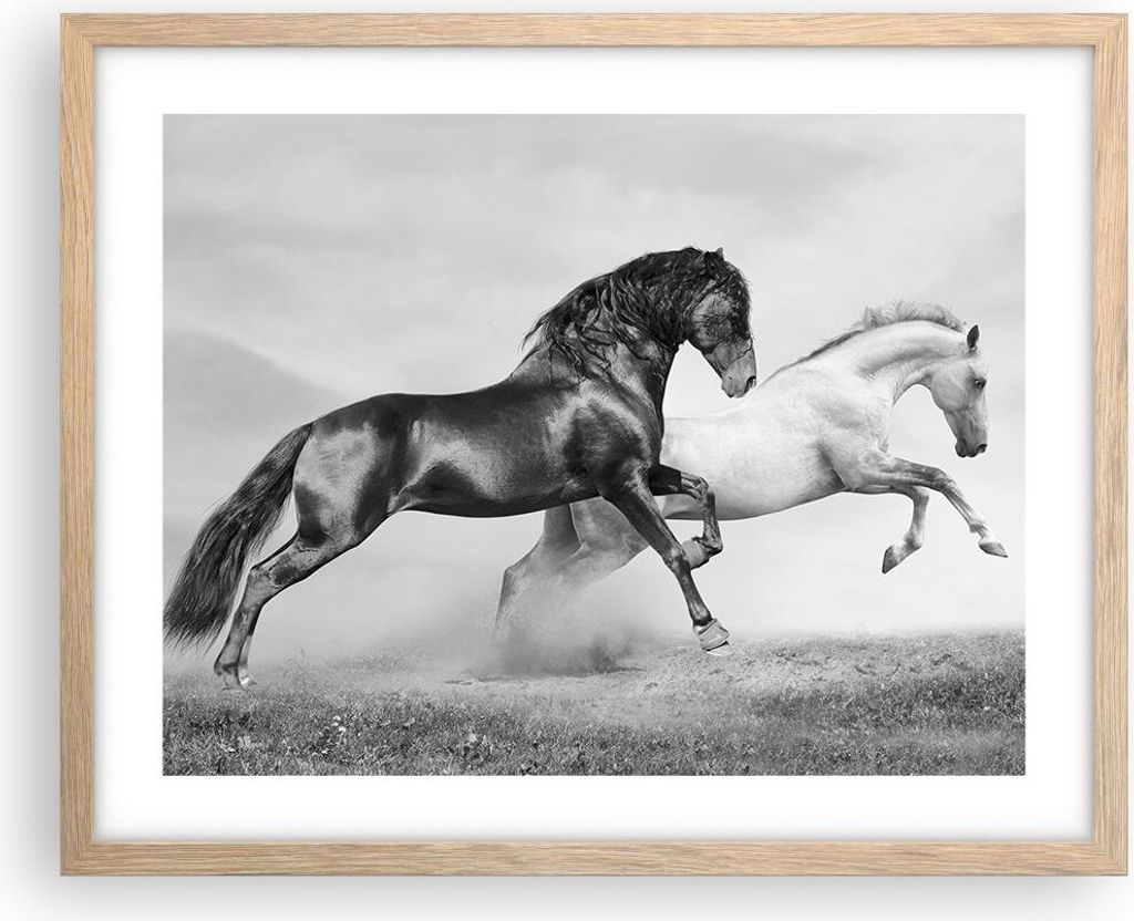 Gerahmtes Poster - Rahmen in heller Eiche - Pferde Tiere Galopp Wiese - 50x40 cm - Wand Bild - Wanddeko - Wandbilder - Wandposter - Bilderrahmen - ...