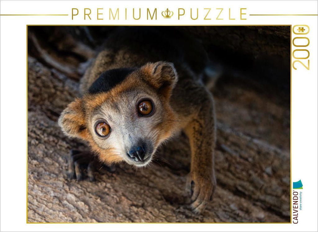 CALVENDO Puzzle Lemur 2000 Teile Puzzle quer | 2000 Teile Lege-Größe 90x67cm Foto-Puzzle für glückliche Stunden
