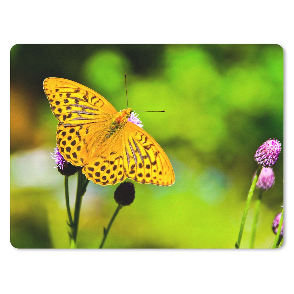 MuchoWow Mauspad Mousepad Schmetterling - Tiger - Blume 40x30 cm - Mousepads - Maus Mat - Pad - Mausunterlage - Anti Rutsch