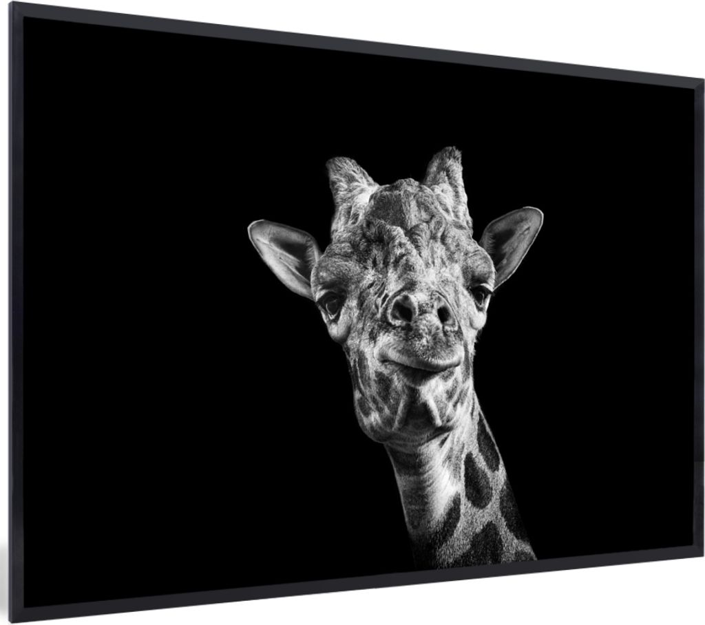 MuchoWow MuchoWow Gerahmtes Poster Giraffe vor schwarzem Hintergrund in schwarz und weiß 30x20 cm - Poster mit zchwarzem Bilderrahmen - Kunstd...