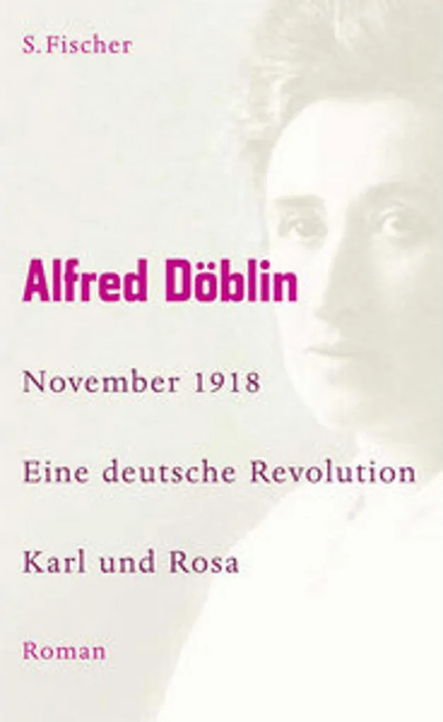Récit complet November 1918 Eine deutsche Revolution analyse inédite