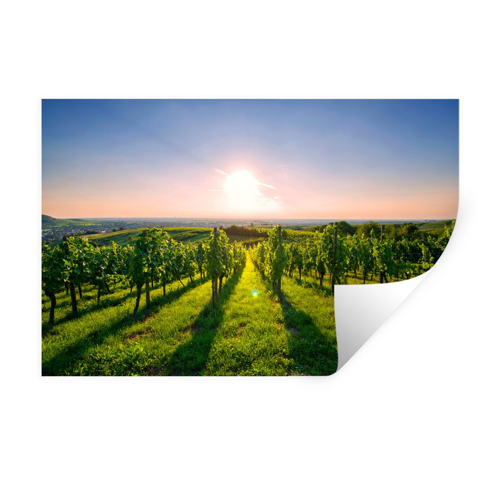 MuchoWow Wandtattoo Wandsticker Wandaufkleber Grüne Weinberge bei Sonnenaufgang 60x40 cm Selbstklebend und Repositionierbar - Wierderverwendbar ...