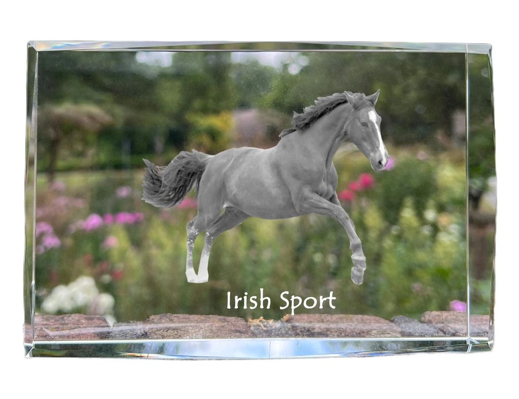 Irischer Sport - Kristall mit einem Pferdebild, Bild im Glas, moderne Ausstellung des Art-Dog-Bildes.