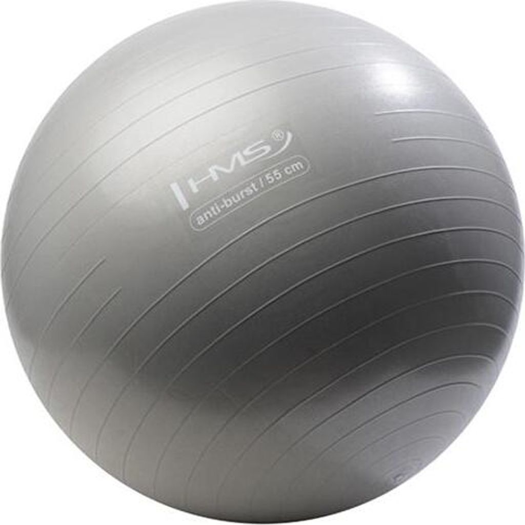 Yb02 55cm Anti-burst Schwarzgrau Gymnastikball Hms Produktbild 