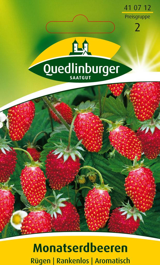 Monatserdbeere, Rügen Produktbild 