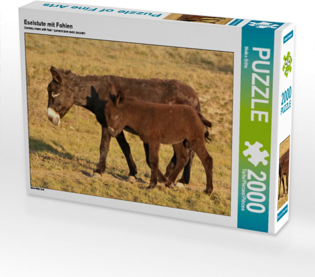 CALVENDO Puzzle Eselstute mit Fohlen 2000 Teile Puzzle quer | 2000 Teile Lege-Größe 90x67cm Foto-Puzzle für glückliche Stunden
