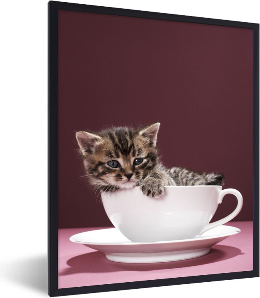 MuchoWow Gerahmtes Poster Ein Kätzchen in einer Tasse mit Untertasse 60x80 cm - Poster mit Schwarzem Bilderrahmen Wandposter Rahmen Foto Bilder ...