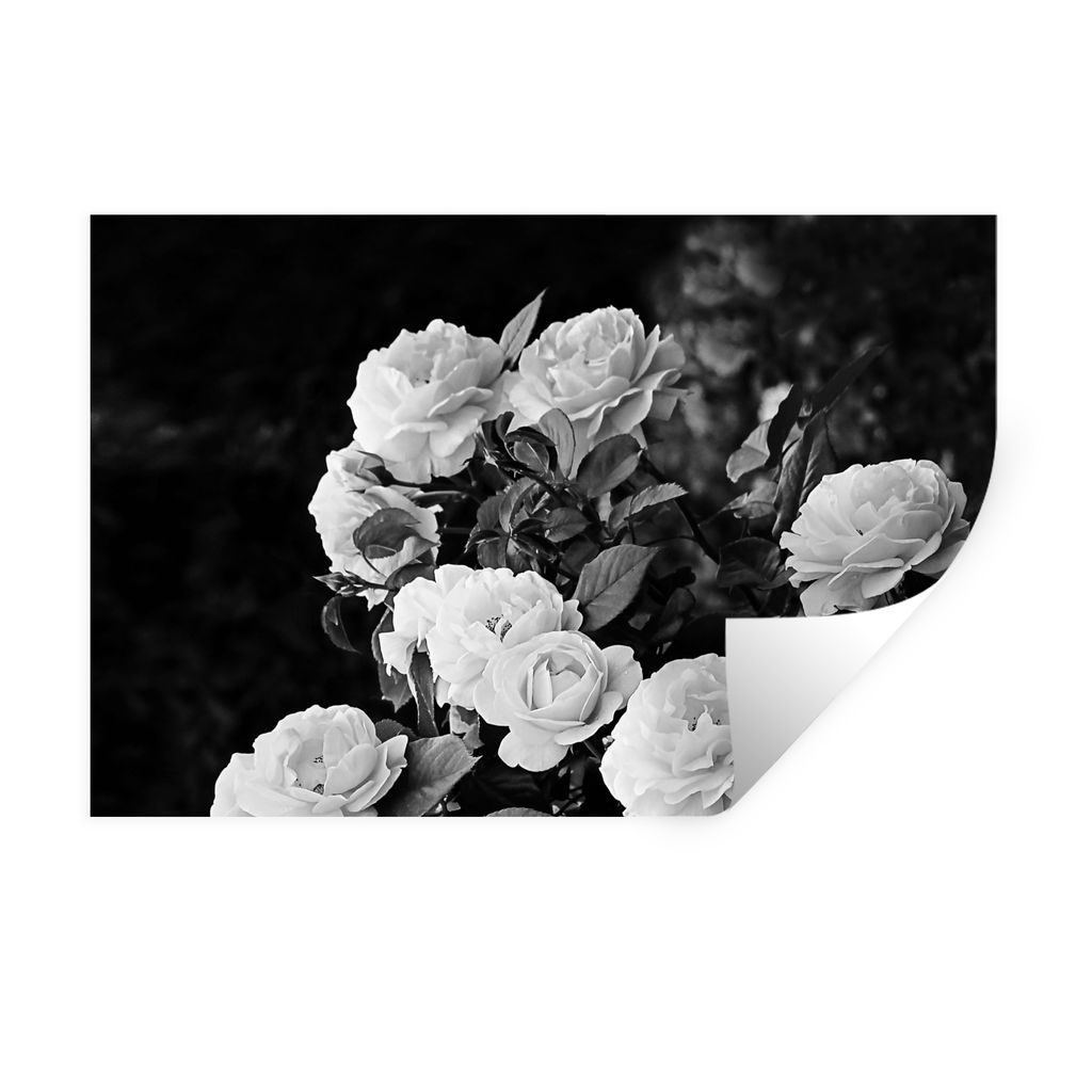 MuchoWow Wandtattoo Wandsticker Wandaufkleber Blumen - Schwarz und Weiß - Natur - Pflanzen - Rosen 60x40 cm Selbstklebend und Repositionierbar -...