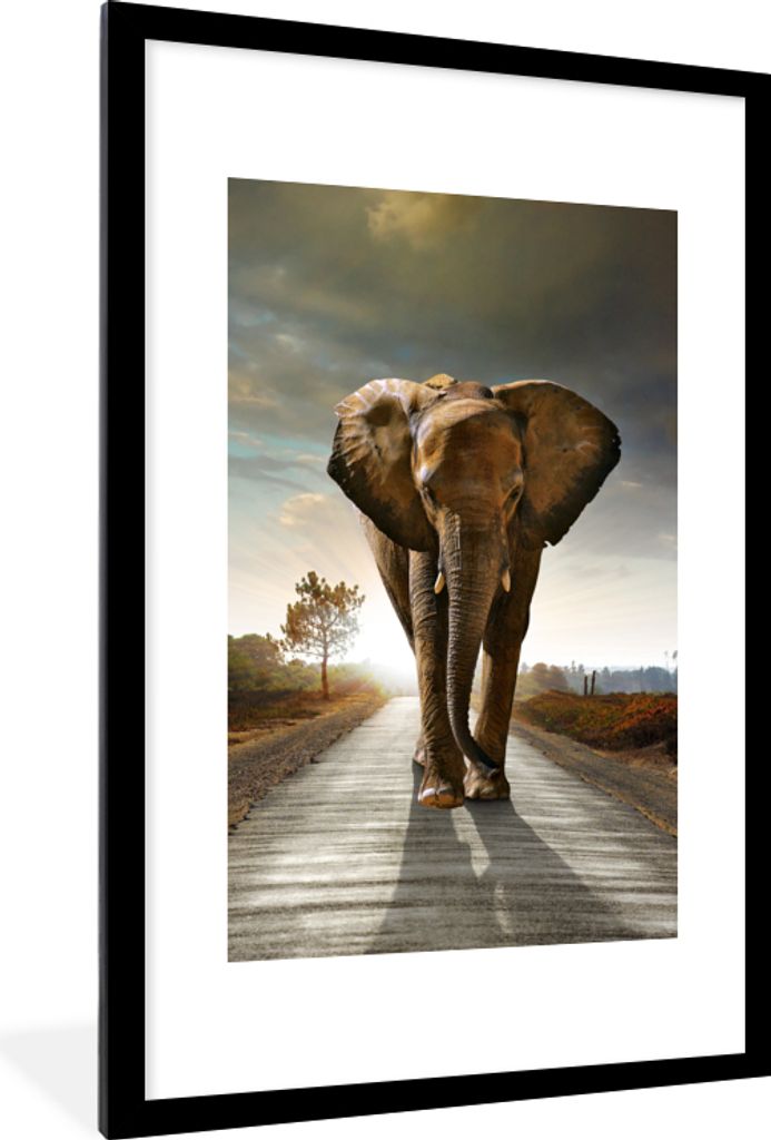 MuchoWow Gerahmtes Poster Elefant - Straße - Tiere - Sonnenuntergang - Landschaft 60x90 cm - Poster mit Schwarzem Bilderrahmen Wandposter Rahmen...