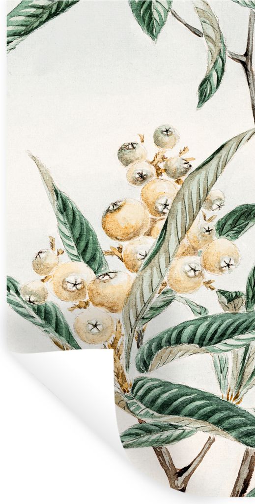 MuchoWow Wandtattoo Wandsticker Wandaufkleber Blätter - Beere - Japanisch - Design 40x80 cm Selbstklebend und Repositionierbar - Repositionierba...