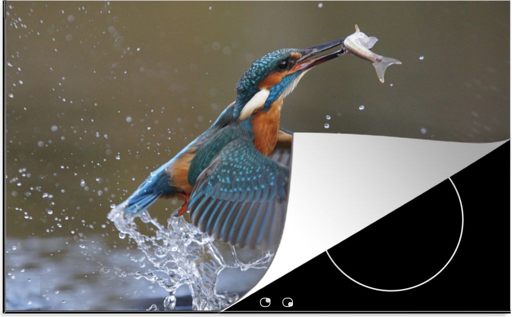 KitchenYeah Herdabdeckplatte Eisvogel - Fisch - Wasser , 89x51cm, Küche Deko, Glaskeramikfeld Herdabdeckung, Abdeckplatte fùr Kochfeld