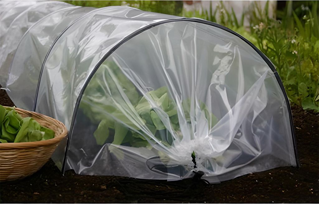 Mini Garten Gewächshaus Folie Tunnel Gartenstangen Folie Produktbild 10