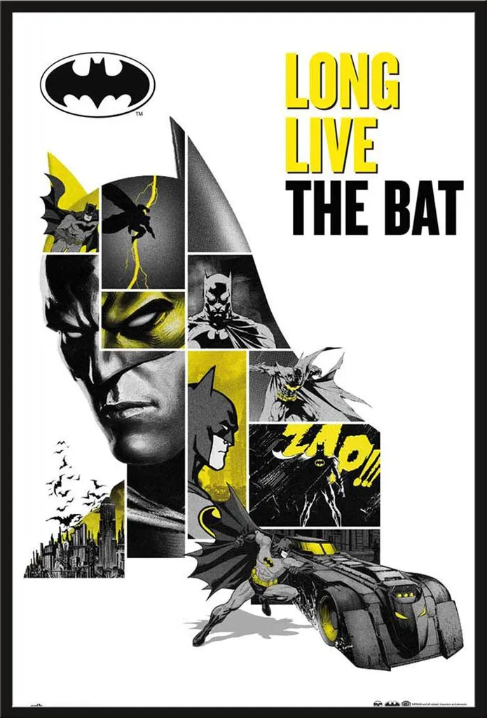 Affiche DC Comics 80 ans Encadrée Shinsuke en Plastique Noir et Vitre