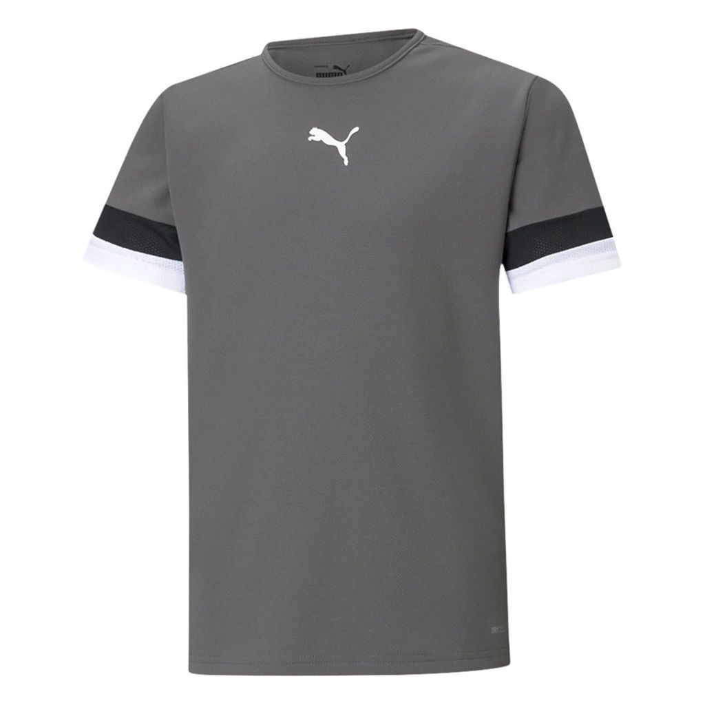 Puma Teamrise Trikot Kurzarm Kinder - Grau Produktbild 