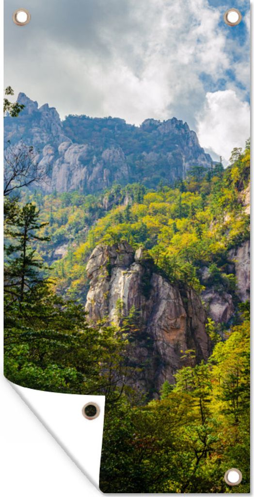 MuchoWow 80x160 cm Outdoor-Poster Gartendeko Sichtschutz Garten Poster für den Garten Bergnatur in Südkorea