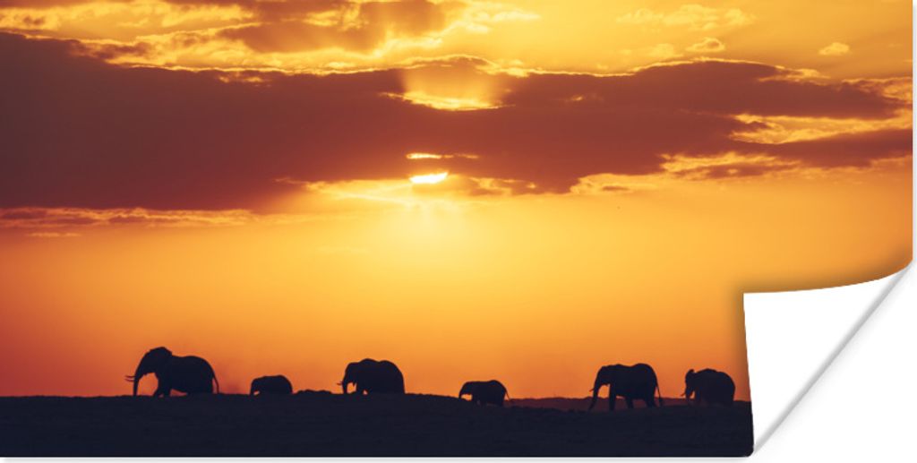 MuchoWow Poster Elefantenherde bei Sonnenuntergang 150x75 cm - ohne Rahmen