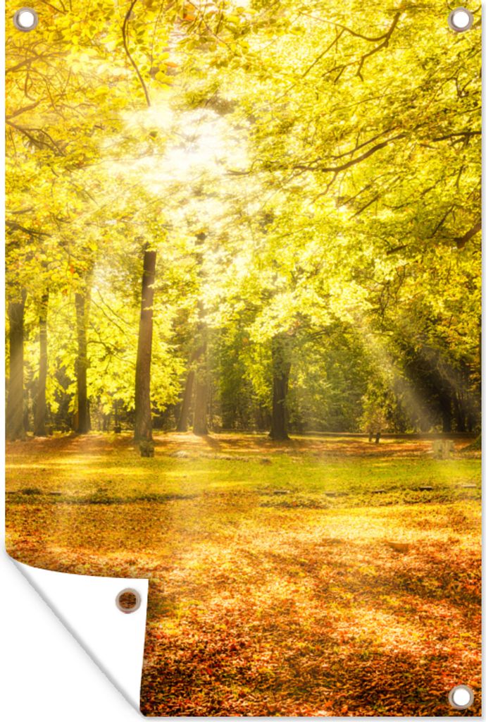 MuchoWow 80x120 cm Outdoor-Poster Gartendeko Sichtschutz Garten Poster für den Garten Baum - Natur - Sonne - Landschaft - Wald