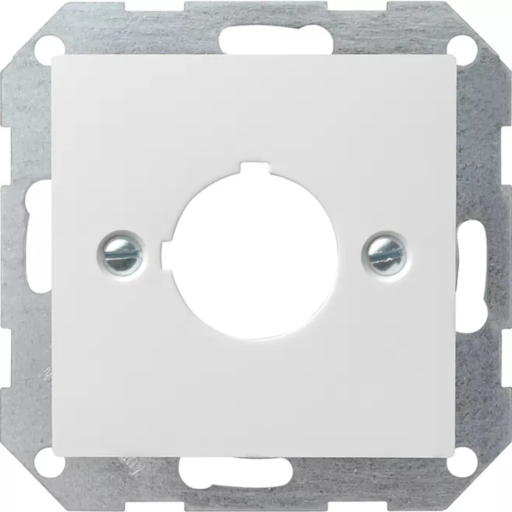 Enjoliveur Gira Système 55 blanc pur plaque centrale 22,5 027227
